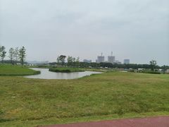 -春花秋色城市公园