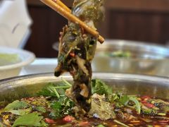 -高坎一品甲鱼庄(两河店)