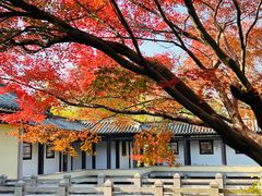 -柯岩风景区