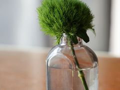 -杭州桐庐康莱德酒店西餐厅-舍