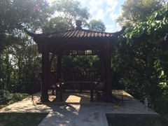 iphone_upload_pic-东澳岛