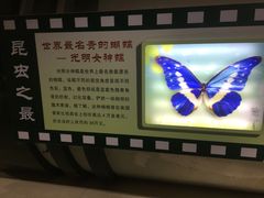 -上海昆虫博物馆