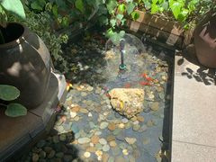 -祖母的厨房西餐厅(丽江金茂店)