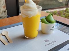-雪绿茶博物馆