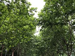 -成都工业学院(郫都校区)