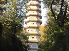 -灵谷景区