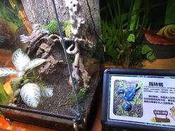 -酷嗒动物文化乐园(cutezoo西溪乐天城店)