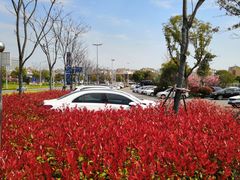 -繁花中心-停车场