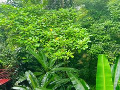 -七仙岭温泉国家森林公园