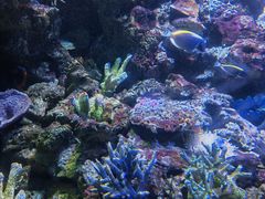 -大连老虎滩海洋公园