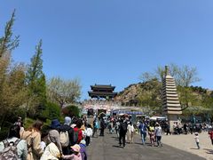 -西霞口神雕山野生动物世界