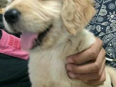 -宠颐生中康贝怡动物医院