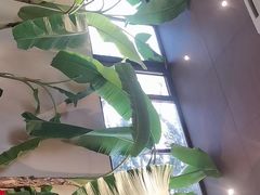 -单家老院·院子里的青岛菜(沙子口店)
