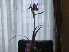 -31号公馆(黄兴广场白果园店)