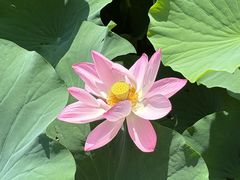-莲池书院博物馆