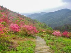 -木兰云雾山