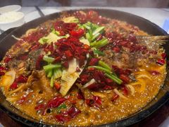 -老板恋上鱼(高新万达店)