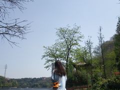 -重庆彩云湖湿地公园