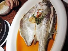 -绿茶餐厅(华联万柳店)