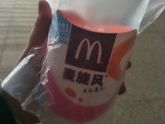 麦旋风-麦当劳(郑州东高铁站店)