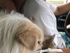 -沐沐家宠物(成寿寺店)