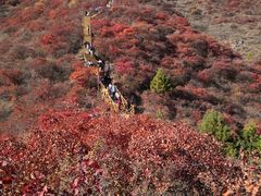 -水峪民俗村