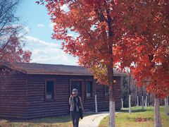 -长春世界雕塑园冰雪艺术天地