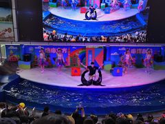 -成都浩海立方海洋公园