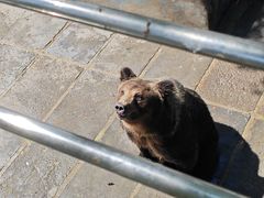 -西霞口神雕山野生动物世界