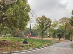 -溱湖国家湿地公园