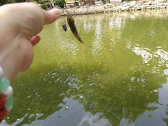 -鲁迅公园-垂钓中心