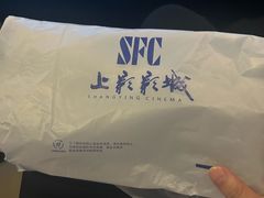 -SFC动漫主题影院(美罗城店)