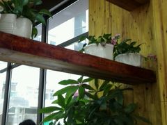 -尚味轩壹号饭堂(曼哈顿广场店)