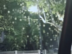 -湖畔居茶楼(湖滨店)