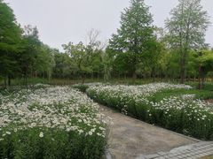-同里国家湿地公园