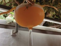 -Catail前苑(前门大街店)