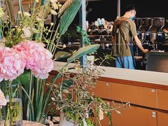 -Seesaw Coffee(深圳万象天地店)