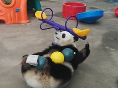 -鄂尔多斯野生动物园