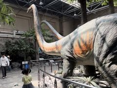 -国家自然博物馆