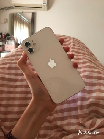 第一批苹果十二使用感受