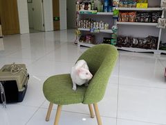 -北京恒爱动物医院(清景园分院)