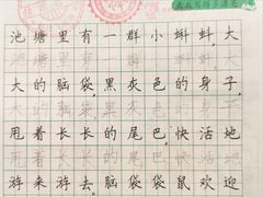 -赵汝飞练字硬笔书法(博泰国际校区)