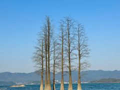 -四明湖