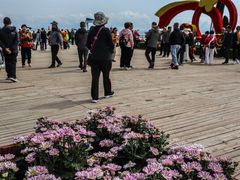 -青海湖国家重点风景名胜区