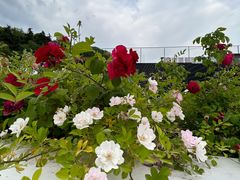 -UNI UNI(环亚凯瑟琳店)