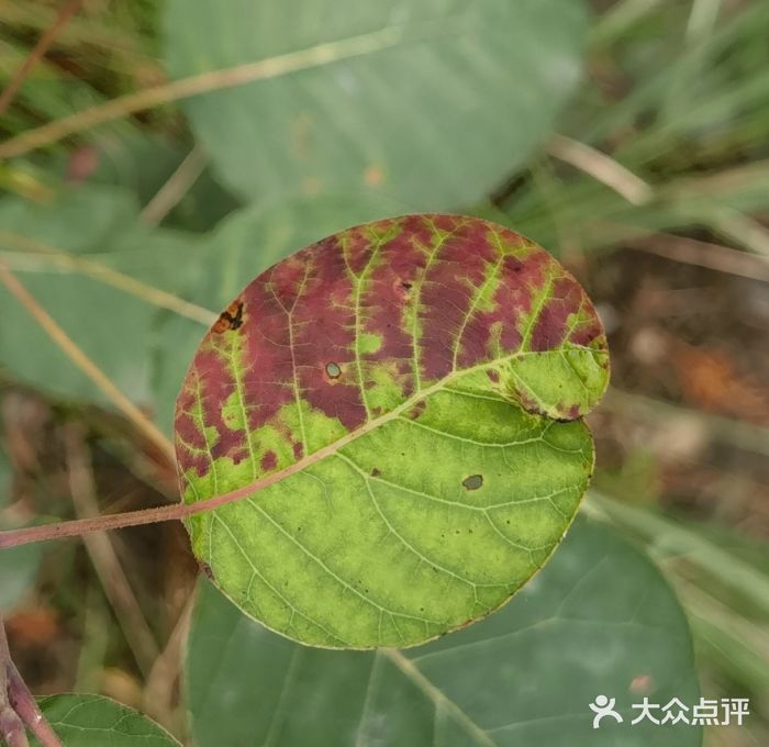 石经山风景区图片