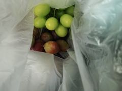 -百果园PAGODA(应元路店)