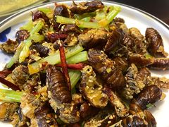 干煸蚕蛹-英兰朝族饭店(河南桥头店)