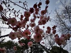 -大雁塔北广场音乐喷泉