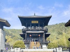 -大唐贡茶院
